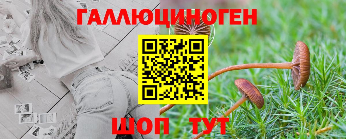 Галлюциногенные грибы мицелий  Вход с VPN  Симферополь 